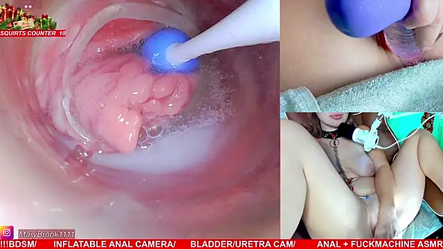 MaryBrook1 live sex cam