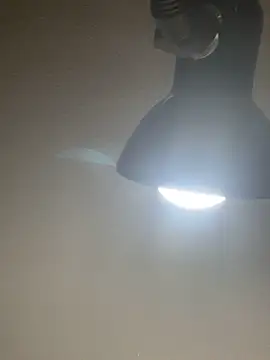 SiaraRealist live sex cam