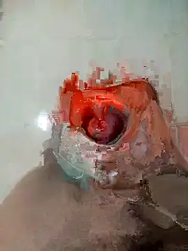 rdDuSM21da027's cam snapshot