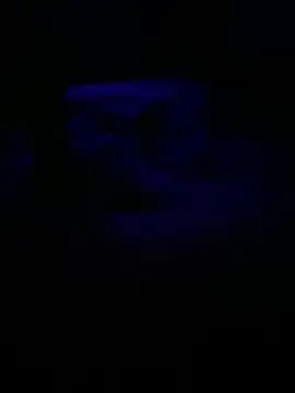 casalhot2533 live sex cam