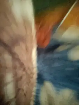 uniquesexyboy5689 live sex cam