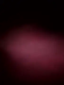 Tin_tanny live sex cam