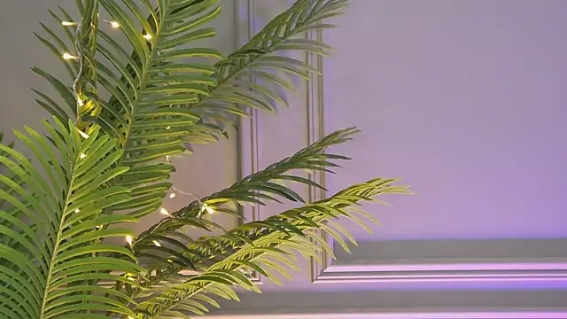 TrishaWinslet's cam snapshot