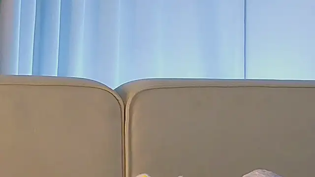 AngelicRice live sex cam