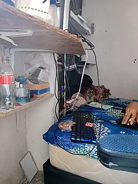 gatoalex89 live sex cam