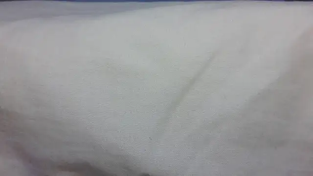 roccosif696 live sex cam