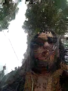 Venus_22's cam snapshot