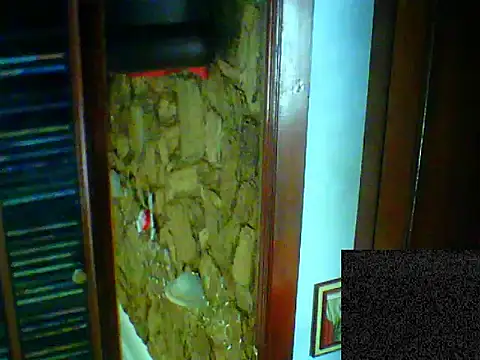 dudagulosa67 live sex cam