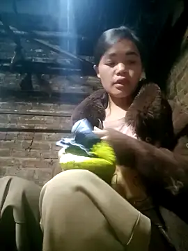 mon-monk's cam snapshot