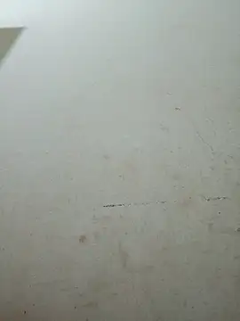 Baoan56789's cam snapshot