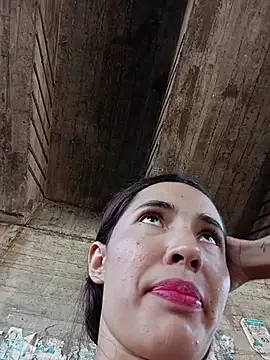 -Nicol's cam snapshot