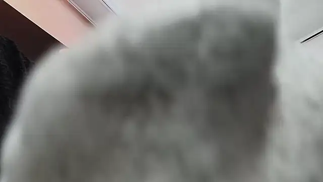 _Jade_16's cam snapshot