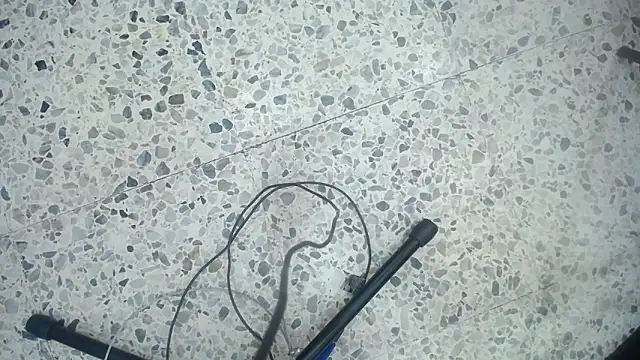 moxa_hot's cam snapshot