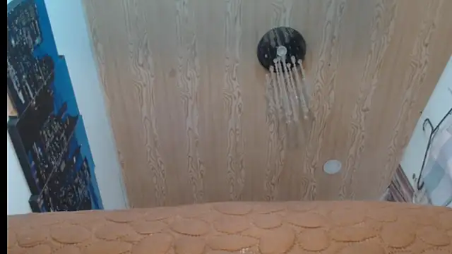 Milf_Valeria's cam snapshot