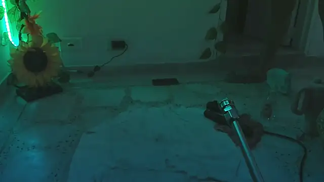 lily_evil's cam snapshot