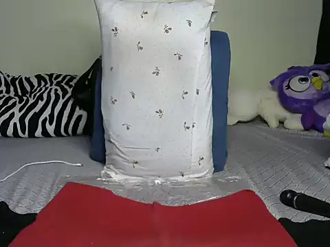 Salliet's cam snapshot