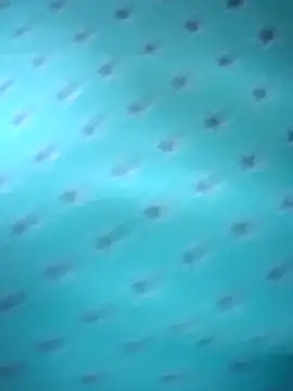 Maiden-Hot's cam snapshot