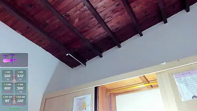 naomidibello's cam snapshot