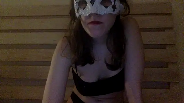 Palinchik's cam snapshot