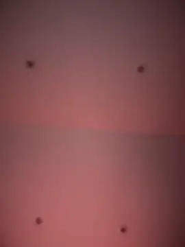 AhriCutte's cam snapshot