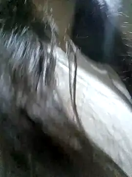 Dulce_1408's cam snapshot