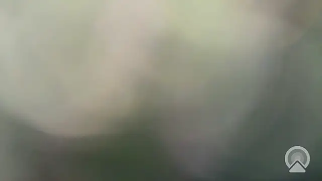 Aulonocara86's cam snapshot