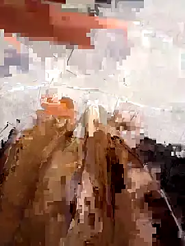 Ori-Lynk's cam snapshot