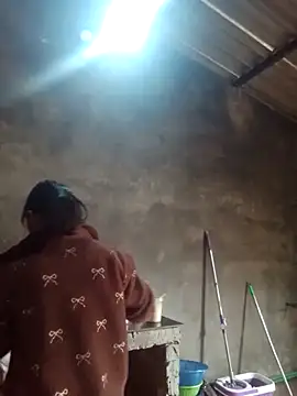 mon-monk's cam snapshot