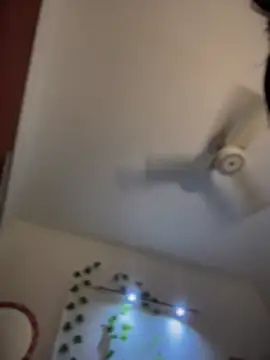 LuXarumi's cam snapshot