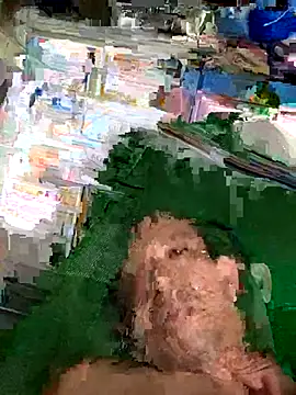 Anhyeuem1950 live sex cam