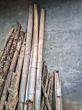 diamond--'s cam snapshot