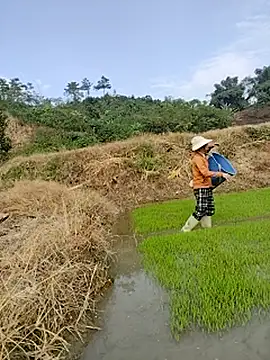 Tin_tanny's cam snapshot