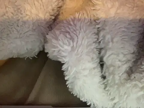 dddasani's cam snapshot