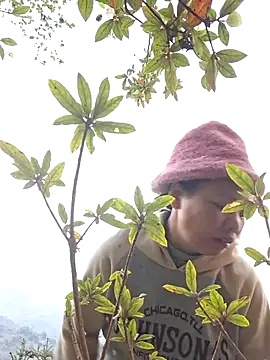 miomio-12's cam snapshot