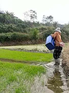 Tin_tanny's cam snapshot