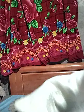 MINSSA502's cam snapshot