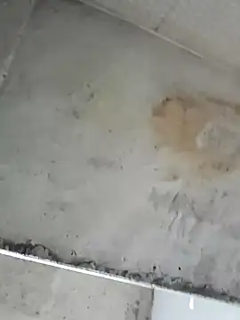 hoturbarsi's cam snapshot