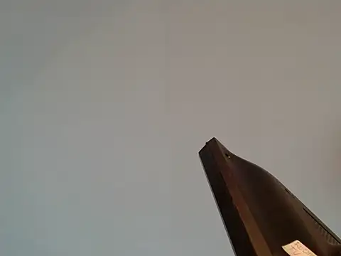 venus_222's cam snapshot