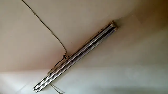 PEBBLES365's cam snapshot