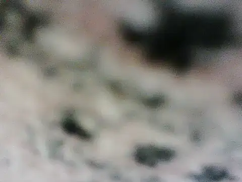 NORA_'s cam snapshot