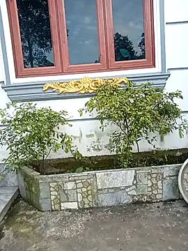 honeyverifiable's cam snapshot