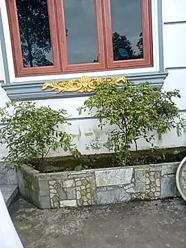 honeyverifiable's cam snapshot