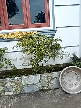 honeyverifiable's cam snapshot