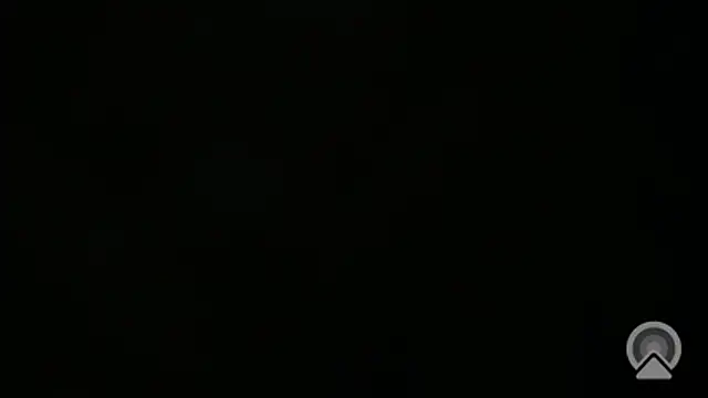 Aulonocara86's cam snapshot