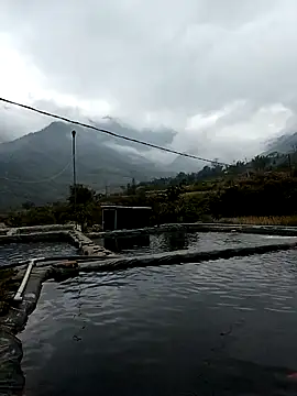 ngan-cute's cam snapshot