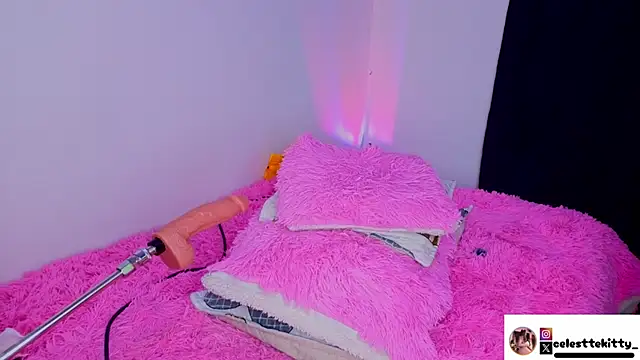 celestte_evans_1's cam snapshot