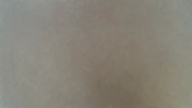 Web_Lady's cam snapshot