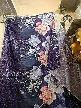 meenu_bhabhi547's cam snapshot