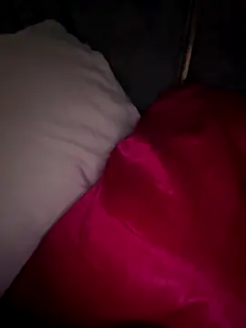 dalou3a22's cam snapshot