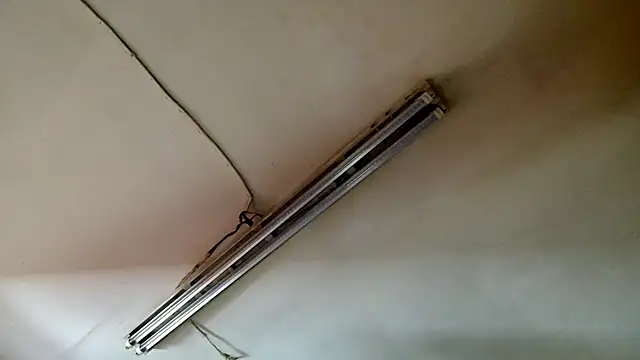 PEBBLES365's cam snapshot